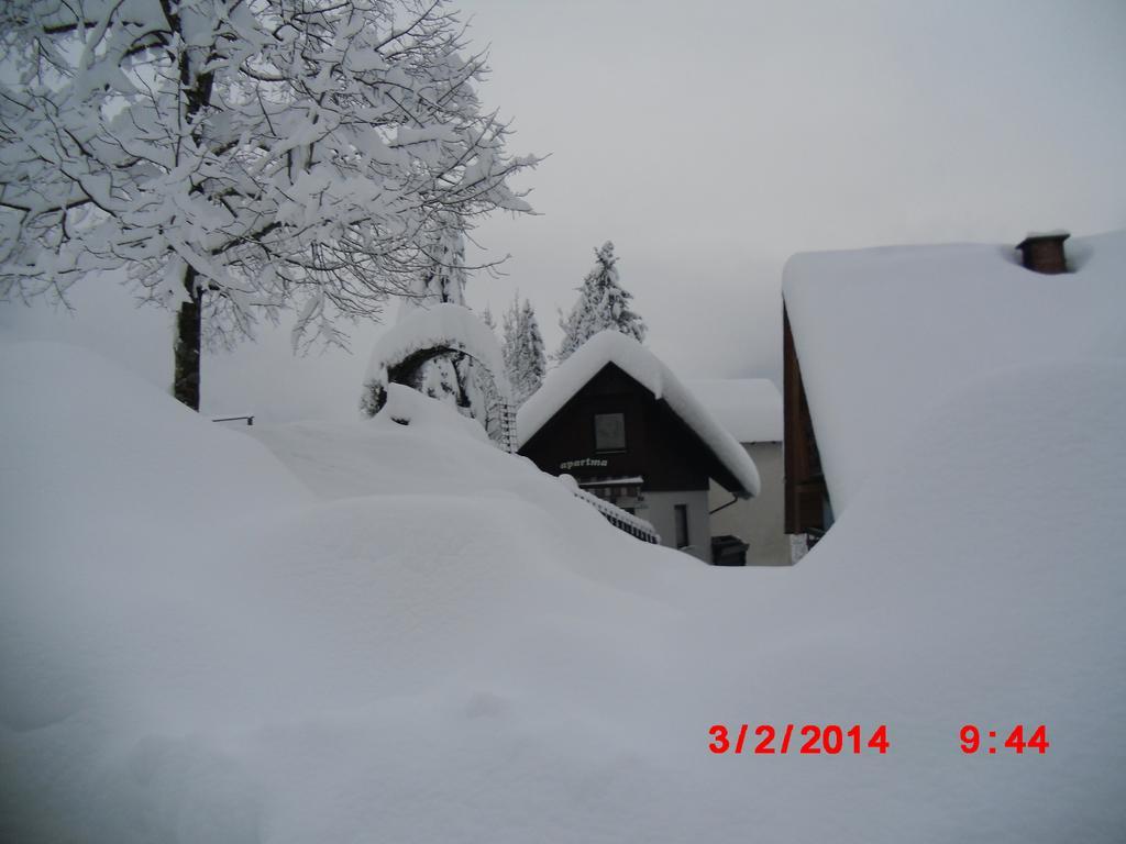 Holiday Home Pri Srni Bohinj Rum bild
